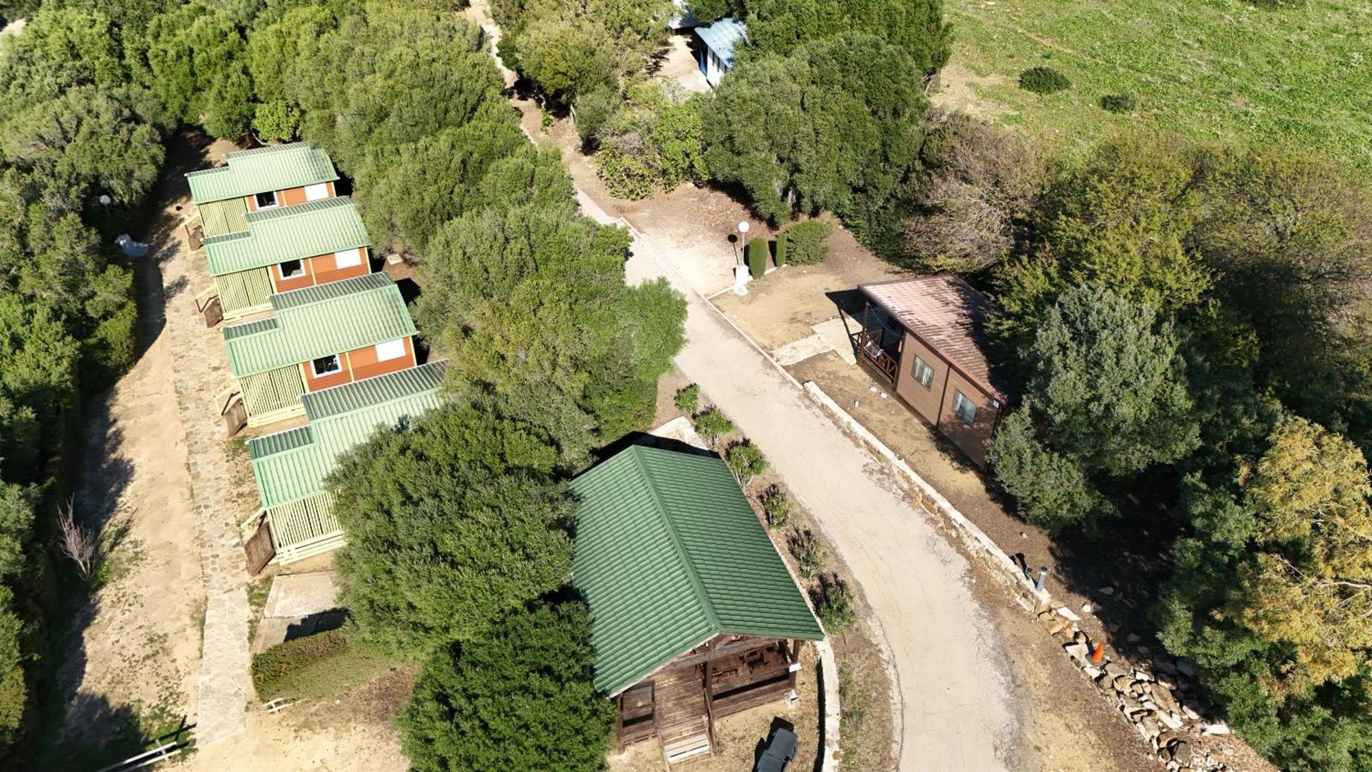 Taiga Valdevaqueros